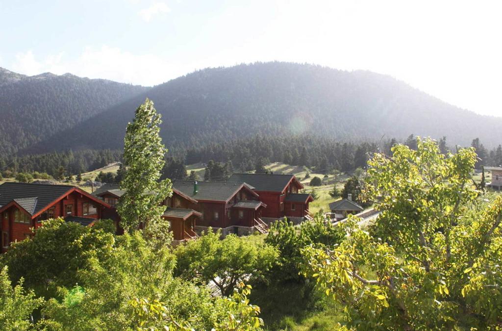 Boutique Hotel Skamnos Арахова Экстерьер фото